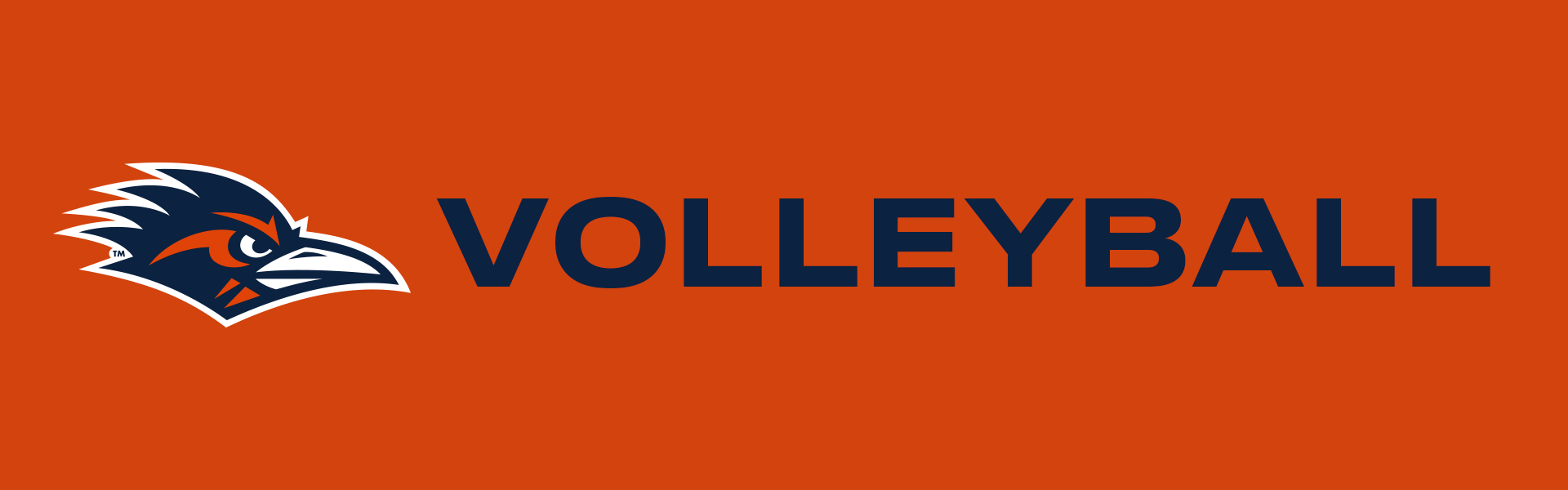 Volleyball Web